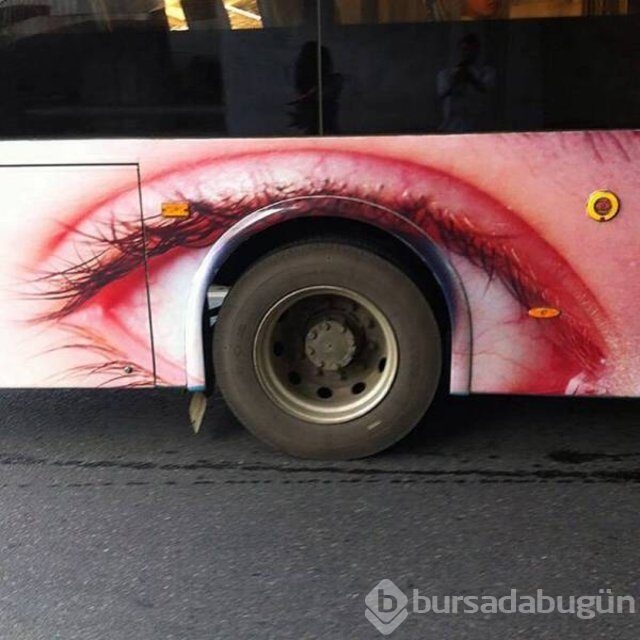 En ilginç fotoğraflar