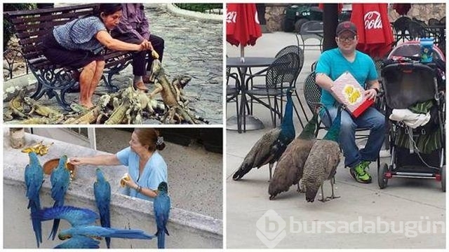 En ilginç fotoğraflar