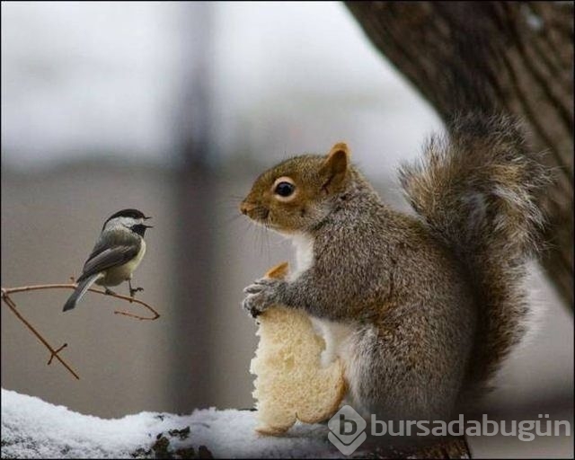 En ilginç fotoğraflar