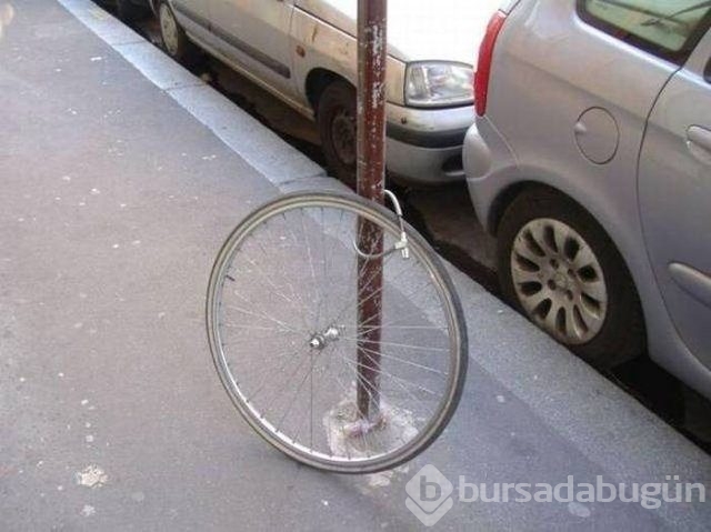 En ilginç fotoğraflar