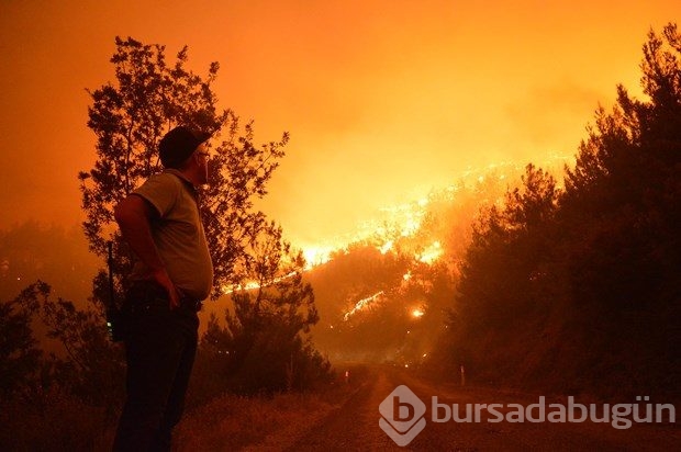İzmir'de orman yangını