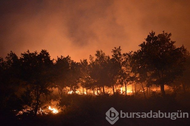 İzmir'de orman yangını