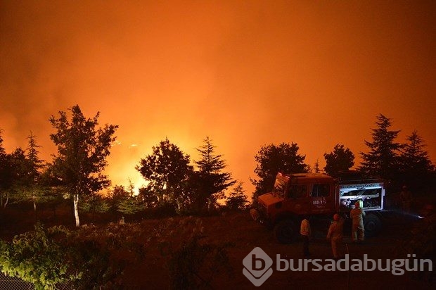 İzmir'de orman yangını