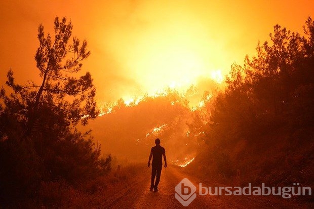 İzmir'de orman yangını