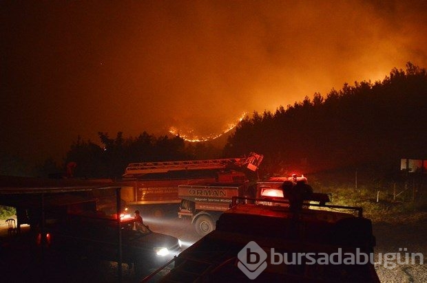 İzmir'de orman yangını