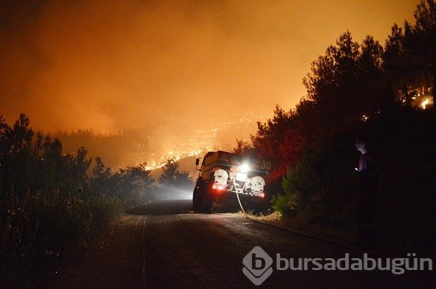 İzmir'de orman yangını