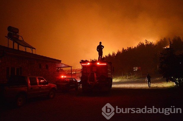 İzmir'de orman yangını