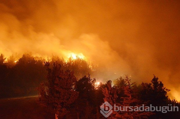 İzmir'de orman yangını