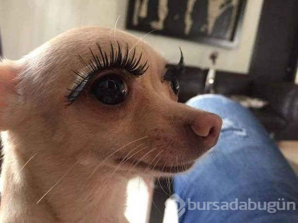 Günün ilginç fotoğrafları