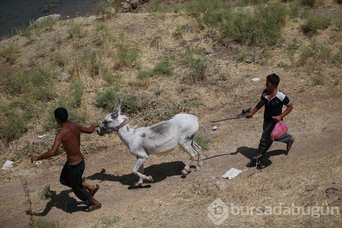 Şanlıurfa'da keşfedilmemiş bir harika: İnbaşı mağaraları
