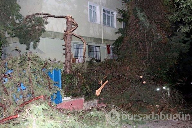 Dolu ve fırtınanın ardından oluşan hasar belirginleşti