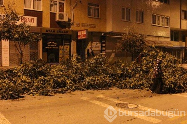 Dolu ve fırtınanın ardından oluşan hasar belirginleşti