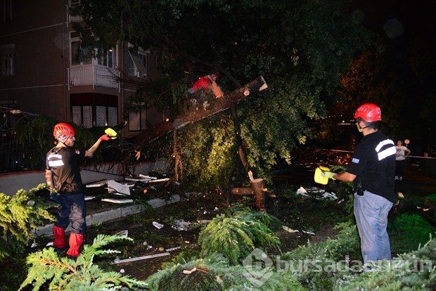 İstanbul yaralarını sarıyor