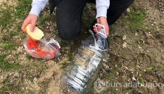 Sıra dışı balık avlama taktiği!
