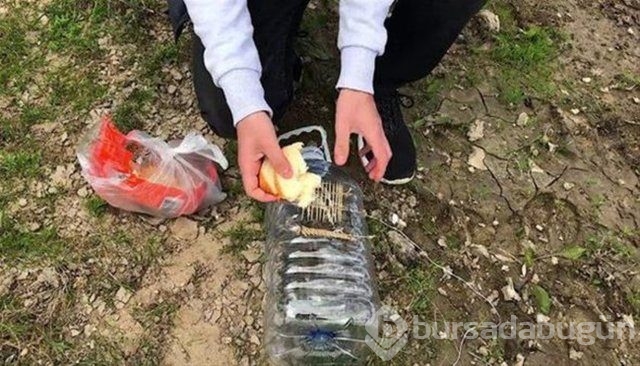 Sıra dışı balık avlama taktiği!