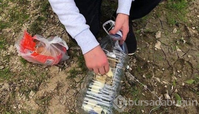 Sıra dışı balık avlama taktiği!