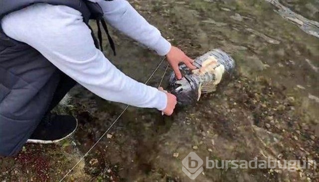 Sıra dışı balık avlama taktiği!