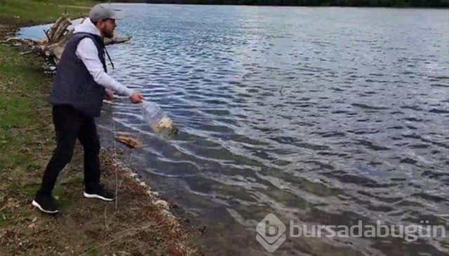 Sıra dışı balık avlama taktiği!
