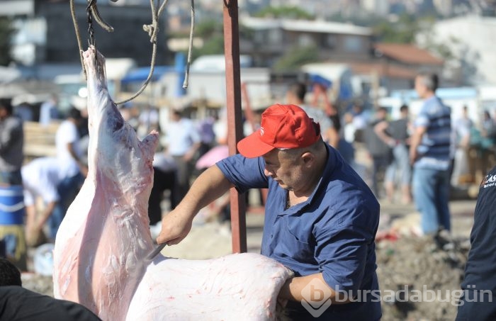 Bursa'dan kurban bayramı manzaraları