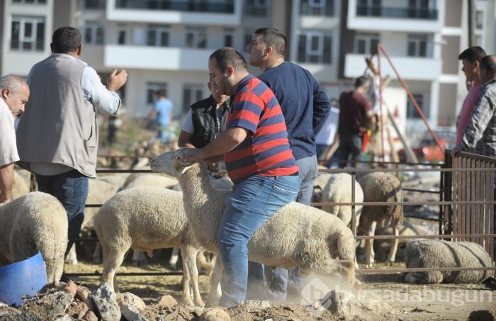 Bursa'dan kurban bayramı manzaraları