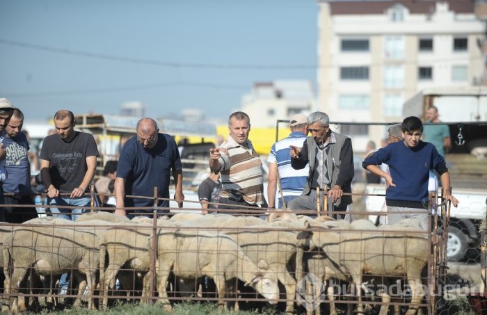 Bursa'dan kurban bayramı manzaraları