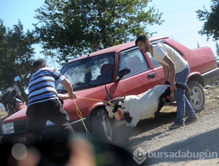 Bursa'dan kurban bayramı manzaraları