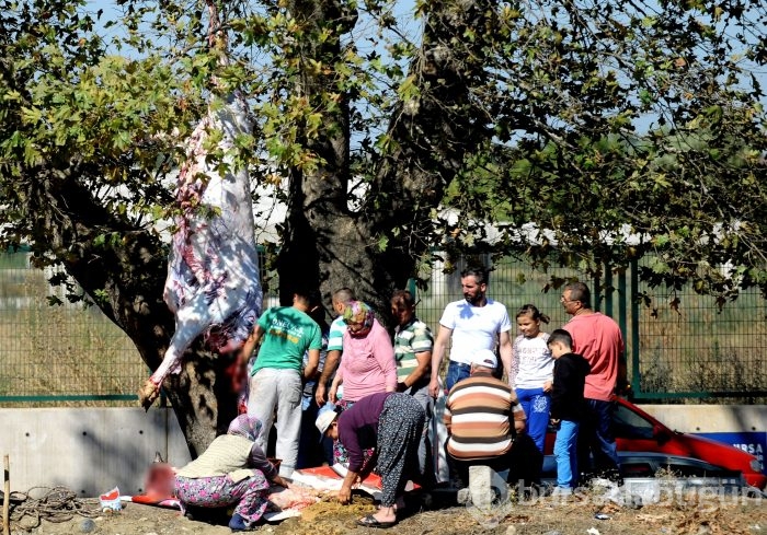 Bursa'dan kurban bayramı manzaraları