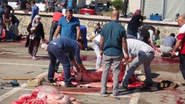 Bursa'dan kurban bayramı manzaraları