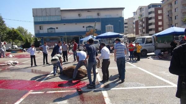 Bursa'dan kurban bayramı manzaraları
