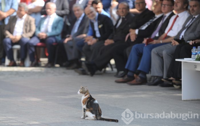 Bursa'da kurtuluş coşkusu!