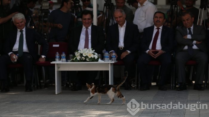 Bursa'da kurtuluş coşkusu!