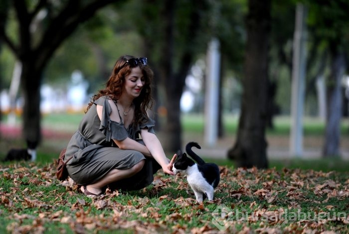 Bursa Kültürpark'ın rengarenk sokak kedileri	