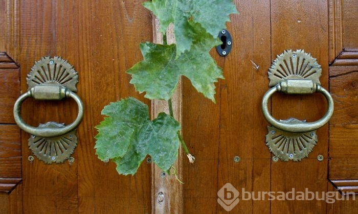 Bursa'da 7 asırlık Osmanlı köyünün kapı tokmakları geçmişe götürüyor 