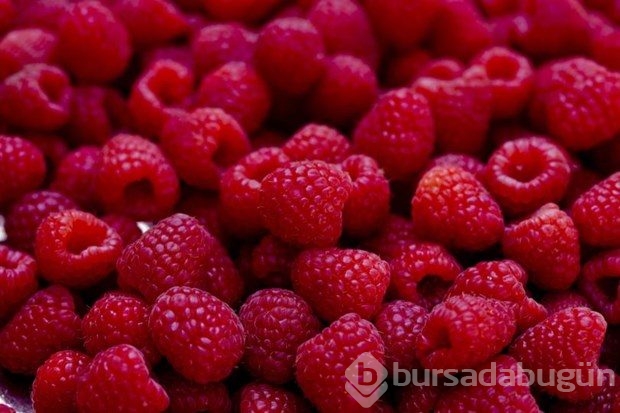 En sağlıklı 49 besin 