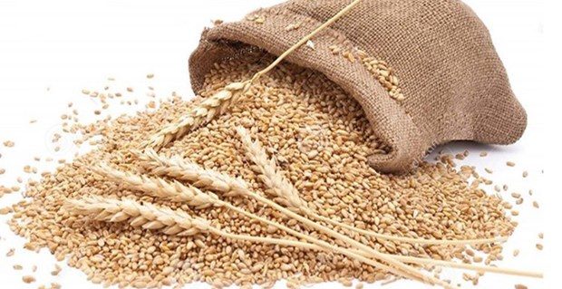 En sağlıklı 49 besin 