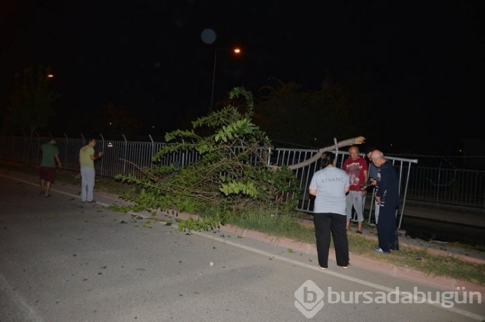 Adana'da 2 bin 500 polisle uyuşturucu operasyonu

