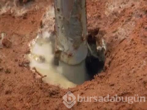 Karınca yuvasını kazdılar!
