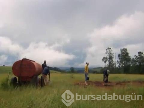 Karınca yuvasını kazdılar!
