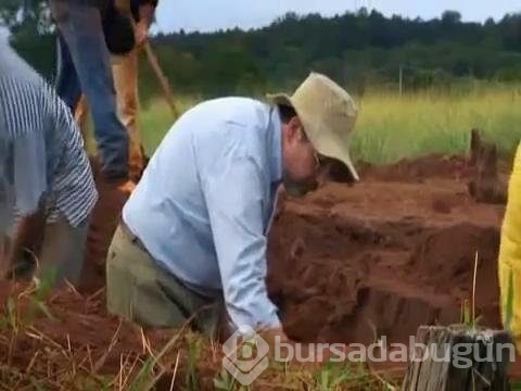 Karınca yuvasını kazdılar!
