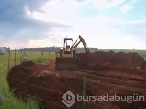 Karınca yuvasını kazdılar!
