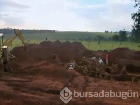 Karınca yuvasını kazdılar!
