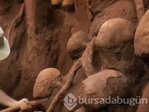 Karınca yuvasını kazdılar!
