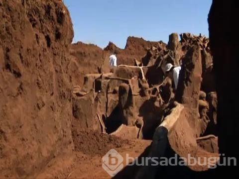 Karınca yuvasını kazdılar!

