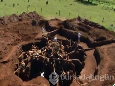 Karınca yuvasını kazdılar!
