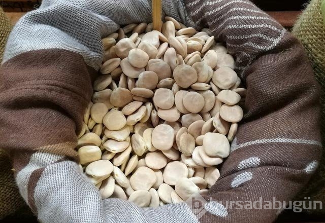 Hücre yenileyici çerezin faydaları
