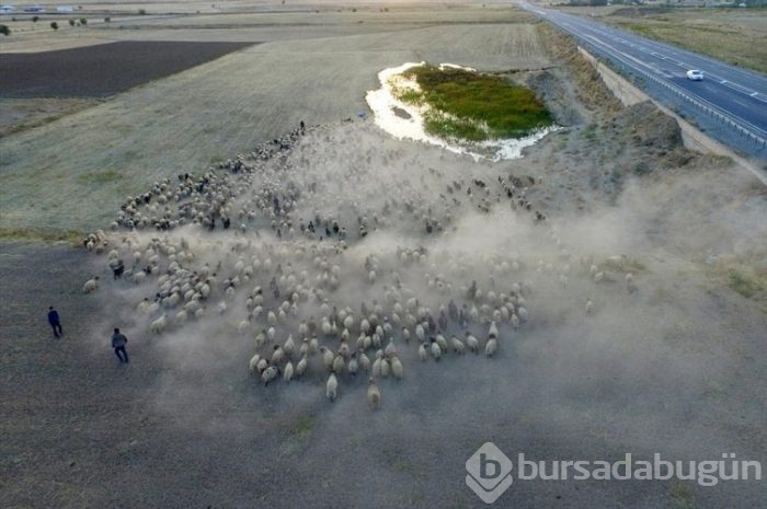 Çeleli yolculuk drone'la kaydedildi