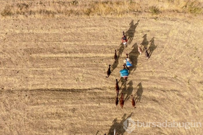Çeleli yolculuk drone'la kaydedildi