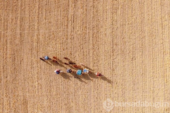 Çeleli yolculuk drone'la kaydedildi