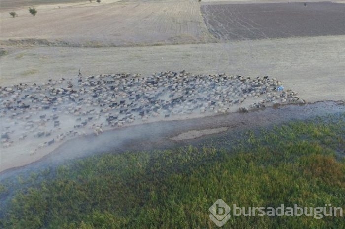Çeleli yolculuk drone'la kaydedildi