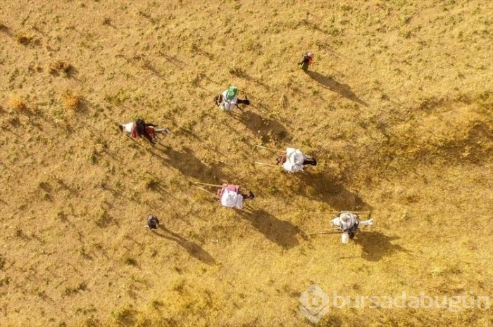 Çeleli yolculuk drone'la kaydedildi